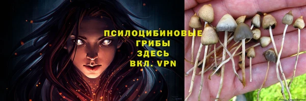 не бодяженный Алзамай