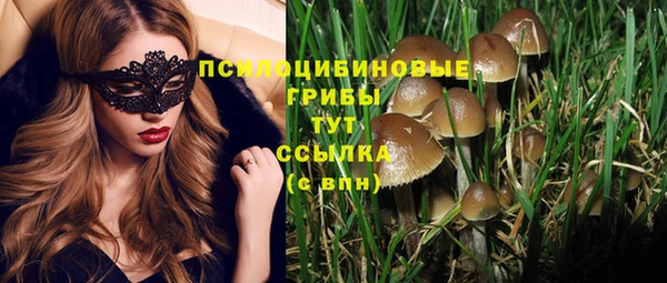 не бодяженный Алзамай