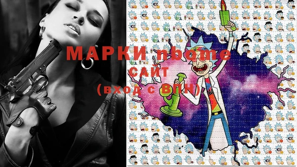 гашик Алексеевка