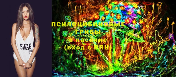 гашик Алексеевка